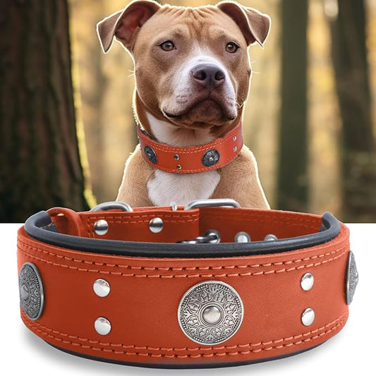 Leather Dog Collar, 2 inches Wide Heavy Duty Genuine Leather Collars, Handmade, Soft, and Luxury, Eye-catching Best Choice for Large and Medium Breed Dogs, Orange 22.5-26.5 inches
