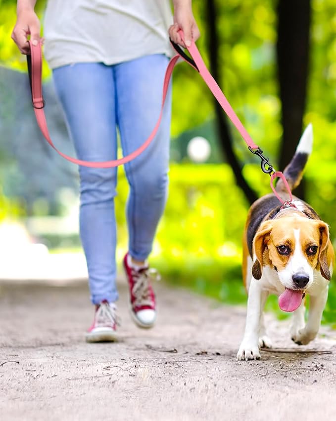 FunTags Reflective Martingale Collar for Dogs, Quick Release Buckle, 5FT Double Handle Dog Leash Padded, Dog Collar and Leash Set, Adjustable for Puppy Dogs (BabyPink, XS)