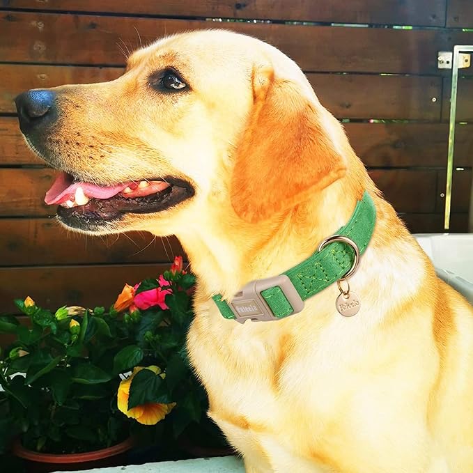 Faleela Dog Collar - Cute & Comfy Cotton Pet Collar, Adjustable Lightweight Design with Quick-Release Buckle, for Small, Medium & Large Dogs - Multiple Styles Available (Large, Green)