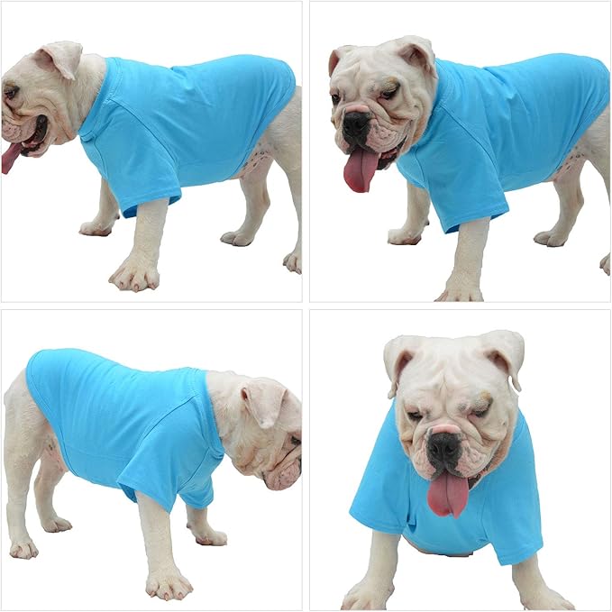 Lovelonglong Pet Clothing Dog Costumes Basic Blank T-Shirt Tee Shirts for Small Dogs Lake-Blue M