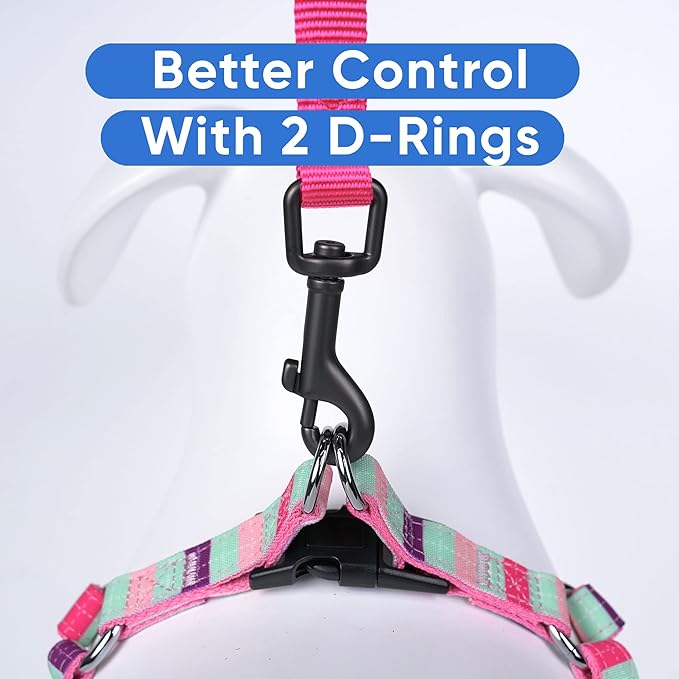 Pawtitas Pet Adjustable Solid Color Step in Puppy/Dog Harness 6 feet Matching Collar and Harness Sold Separately Extra Small Teal/Pink/Purple Multicolor