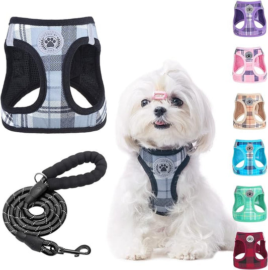 BEAUTYZOO Small Dog Harness and Leash Set,Step in No Choke No Pull Soft Mesh Dog Harnesses Reflective for Extra-Small Medium Puppy Dogs and Cats, Plaid Dog Vest Harness for XS S Pets, Grey XXS