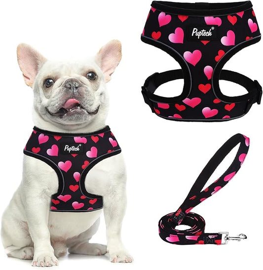 PUPTECK Soft Mesh Dog Harness and Leash Set Pet Puppy Cat Comfort Padded Vest No Pull Harnesses Valentine, Black&Pink, M
