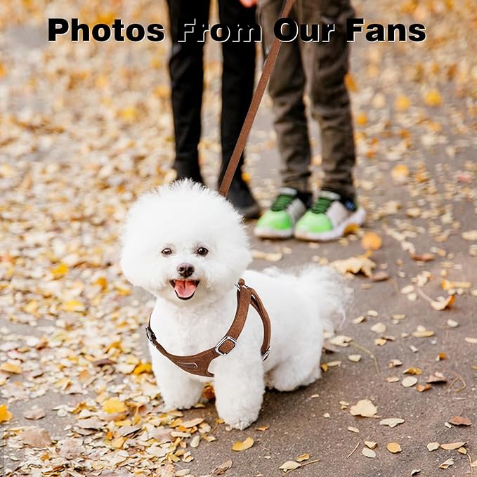 Dog Harness and Leash Set, XXS No Pull Adjustable Puppy Harness with Multifunction Pink Dog Leash and Dog Collar, Soft No Choke Escape Proof Pet Harness Vest for Small Dogs and Cats (Brown, M)