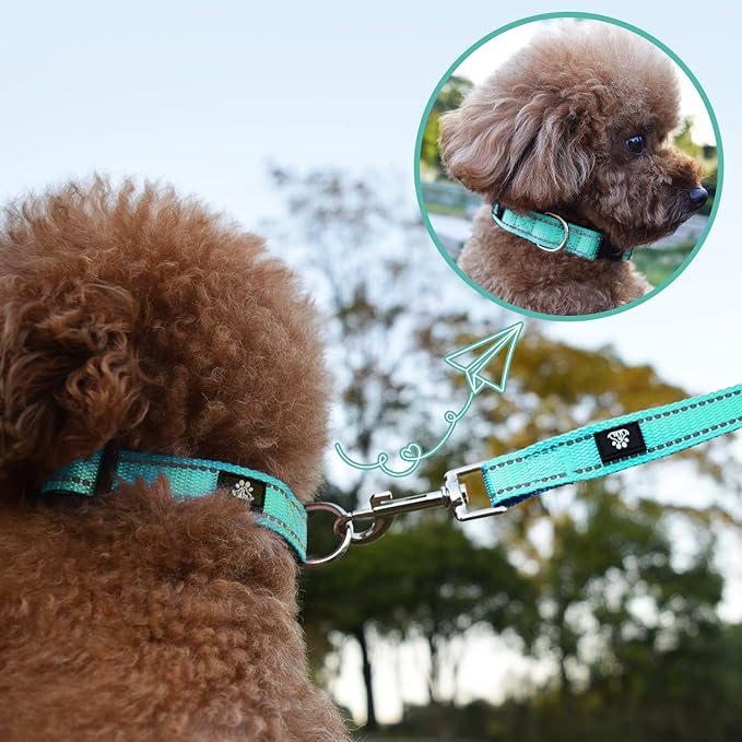 NESTROAD Reflective Dog Collar and Leash Set,Soft Neoprene Pet Collar with Quick Release Buckle,Adjustable Nylon Dog Collars for Small Medium Large Dogs(Small Collar + 5FT Leash,Teal)