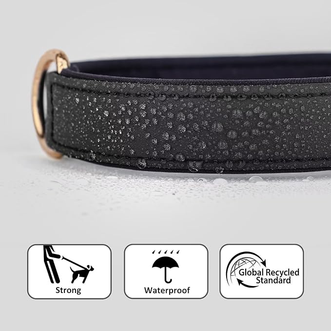 Didog Soft Padded Dog Collars for Small Dogs, Lightweight and Breathable Dog Collar Waterproof with Metal Buckle for Puppy, Black, S