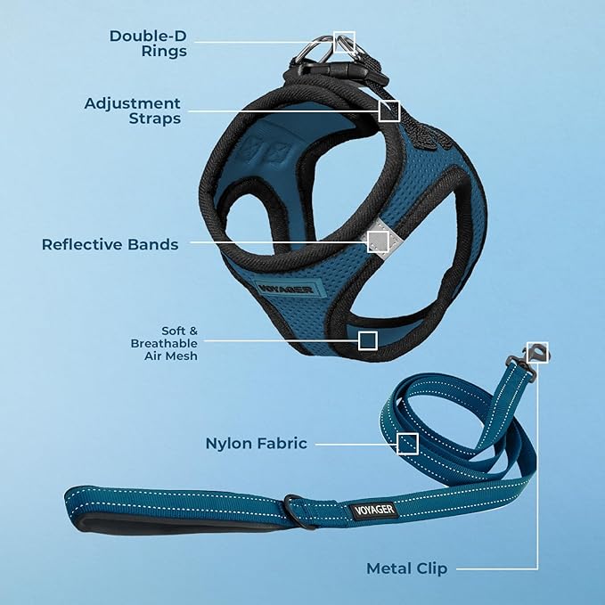 Voyager Step-in Air All Weather Mesh Harness and Reflective Dog 5 ft Leash Combo with Neoprene Handle, for Small, Medium and Large Breed Puppies by Best Pet Supplies - Blue/Black Trim, X-Large