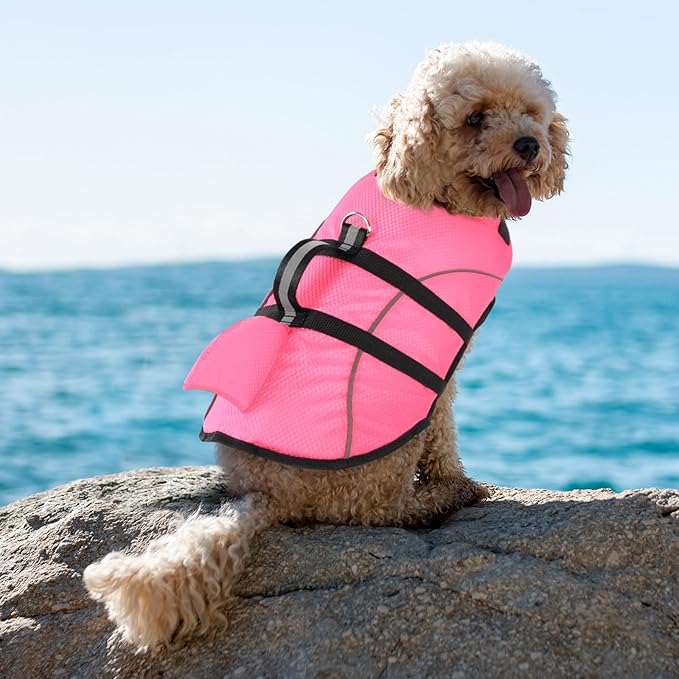 Queenmore Small Dog Life Jacket,Shark Dog Life Vest for Swimming,Puppy Light Life Preserver for Boating Kayaking Canoeing,Pet Reflective Lifesaver with High Buoyancy,Rescue Handle,Leash Hook (Pink,M)