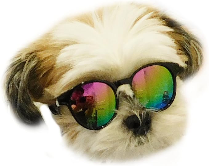 G014 Dog Cat Pet Panto Round Sunglasses for Small Breeds up to 15lbs (Panto Black-Rainbow Mirror)
