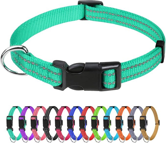 TagME Reflective Nylon Dog Collars, Adjustable Classic Pet Collar with Quick Release Buckle for Puppy, Turquoise, 3/8" Width