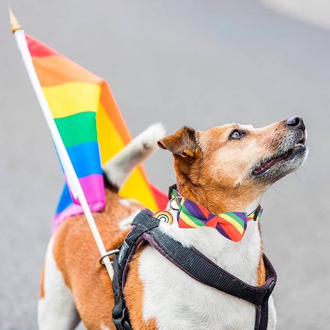 ADOGGYGO Rainbow Dog Collar with Bowtie, Adjustable Striped Pet Bow Collar, LGBT Pride Rainbow Collars for Small Medium Large Dogs Pets (Medium)