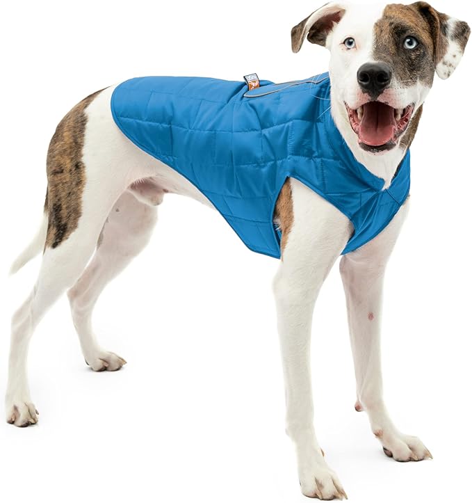 Kurgo Loft Dog Jacket, Reversible Dog Coat, Wear with Harness or Sweater, Water Resistant, Reflective, Winter Coat for Medium Dogs (Coastal Blue, M)