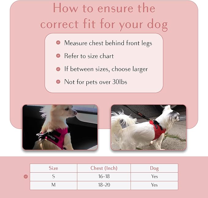 Comfort fit Step-in Dog & Puppy Harness - Comfortable All Weather Dog Vest Harness: Adjustable, Soft Padded, Easy to Put-on for Small, Medium-Sized Dogs.