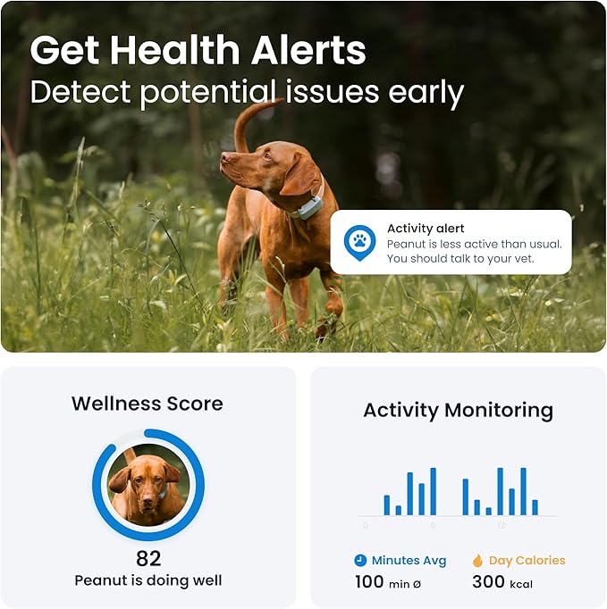 Tractive GPS Dog Tracker (2025 Release) | Real-time Pet Location Tracker | Health & Wellness Alerts | Virtual Fence for Dogs | Bark Monitoring | Dog Collar Attachment (Mint)