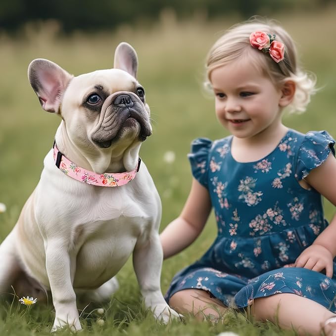 Timos Dog Collar, Adjustable Soft Dog Collar for Small Medium Large Dogs, Patterned Puppy Collars with Quick Release Buckle for Boy and Girl Female Dogs,S Length 9.84''-14.96'