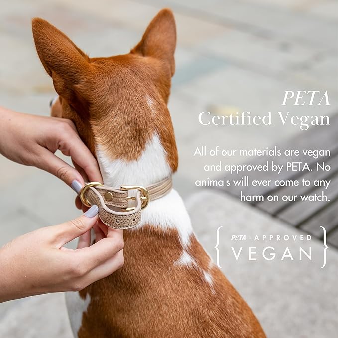 Milan Vegan Leather Dog Collar - Luxury Cute Dog Collar with Adjustable Buckle - Soft Padded Collar, Round Leather Dog Collar for Extra Small, Small, Medium, and Large Dogs - Beige, XS