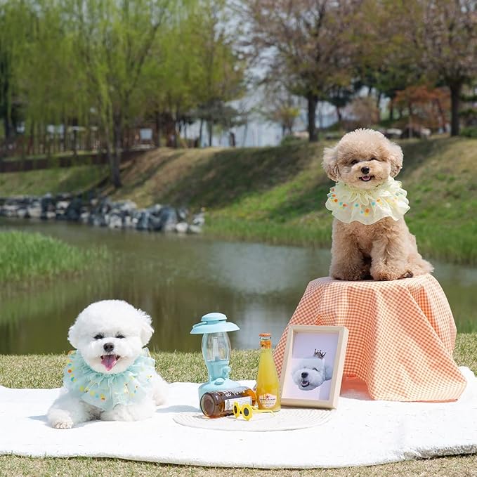 Jelly Bean Cape // pet Scarf, Pet Bib, Dog Bandanas, Round Neck Scarf/pet Accessories for Small, Medium, Large Dogs,Cat (Large, Yellow)