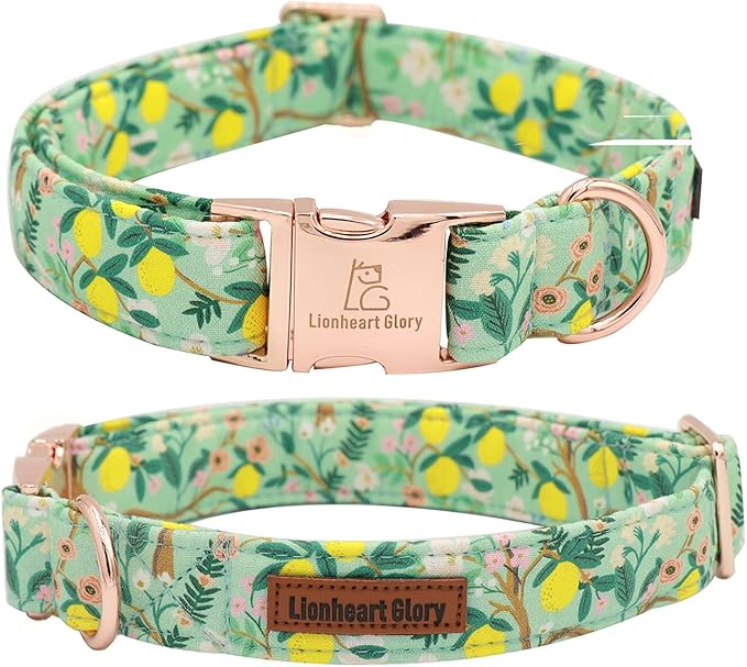 Lionheart glory Premium Floral Dog Collars, Bowtie Dog Collar, Adjustable Heavy Duty Girl Dog Collar with Bow for Small Dogs