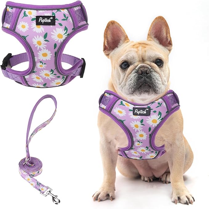 PUPTECK Dog Harness and Leash Set for Small Medium Dogs No Pull, Soft Mesh Adjustable Puppy Cat Harness Reflective at Night, Light Purple M