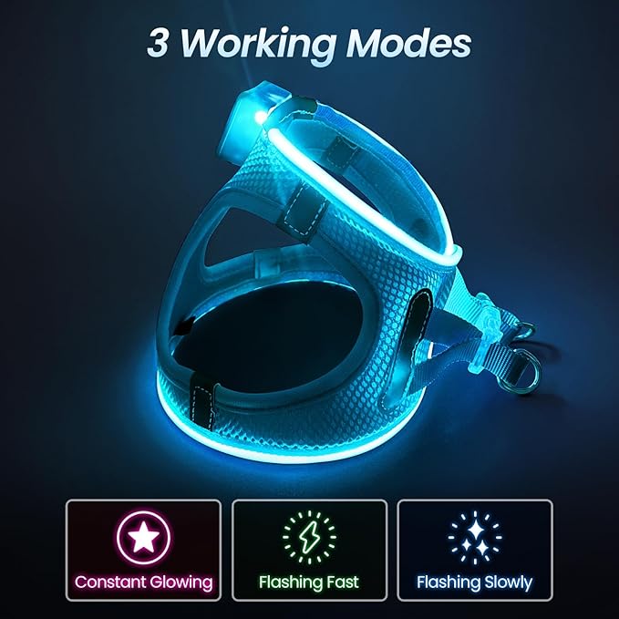 PceoTllar Light Up Dog Harness, LED No Pull Reflective Dog Harness, Flashing Lighted for Night Walking - Small/Medium, (Blue L)