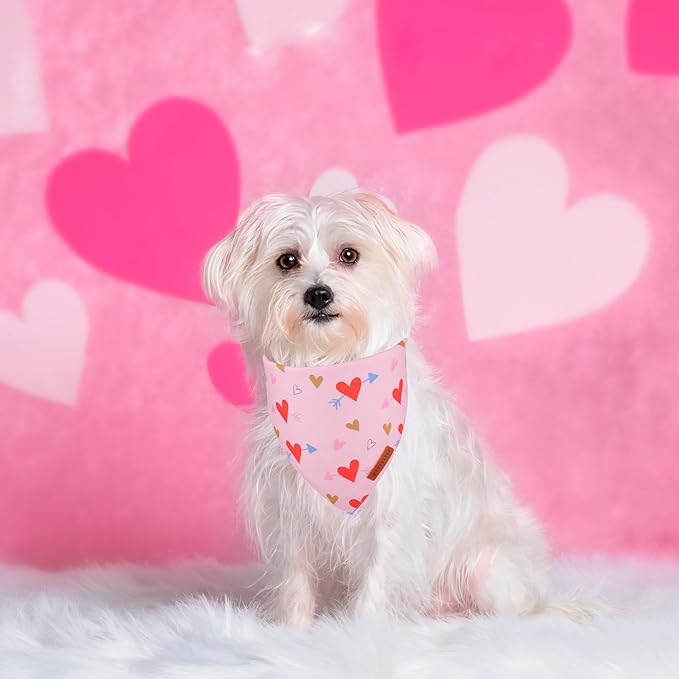 ADOGGYGO Valentine Dog Bandana, Blue Pink Heart Pet Scarf, Premium Durable Fabric, Adjustable Fit Pet Valentine Bandanas for Small Dogs Puppies (Small)