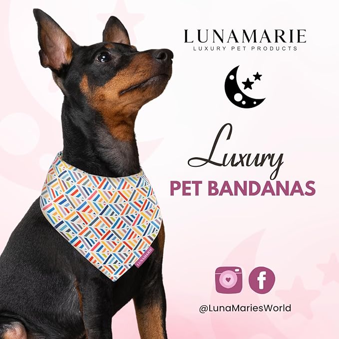 Luxury Pet Birthday Bandanas -Premium & Silky Poly Fabric | 100% Handmade | Custom Shape Dual Layered (Xena, Small)