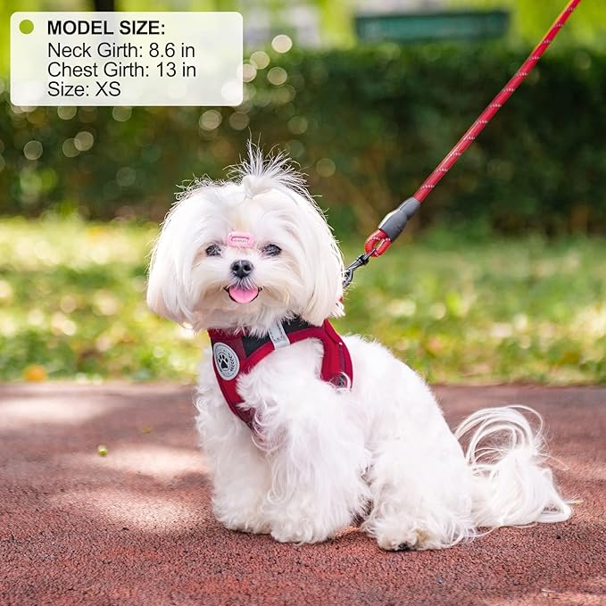 BEAUTYZOO Small Dog Harness and Leash Set,Step in No Choke No Pull Soft Mesh Dog Harnesses Reflective for Extra-Small/Small Medium Puppy Dogs and Cats, Plaid Dog Vest Harness for XS S Pets, Red, XXS
