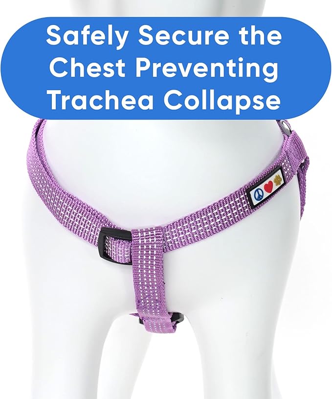 Pawtitas Orchid Purple Dog Harness - Adjustable, Reflective Step-in Harness for Large Dogs