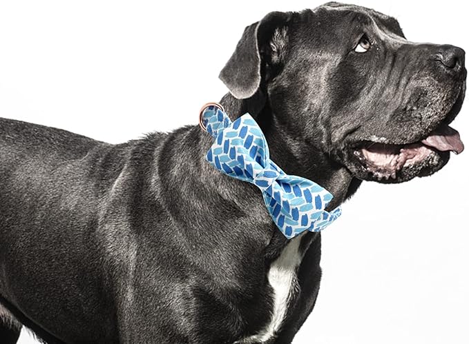 Dog Collar, Blue Print Adjustable Dog Bow Collar Boy Pet Collar Dog Bowtie Duarble Dog Collars for Small Medium Large Dogs