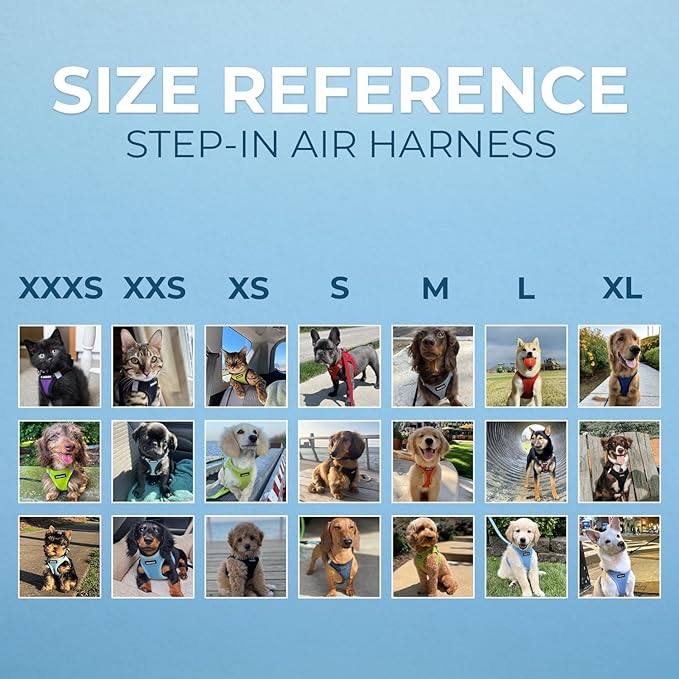Voyager Step-In Air Dog Harness - All Weather Mesh, Reflective, No Pull Harness for Small, Medium Dogs, Cats - Secure with Hook & Loop Fastener, Buckle, Double D-Rings - Army/Black Trim, XXXS