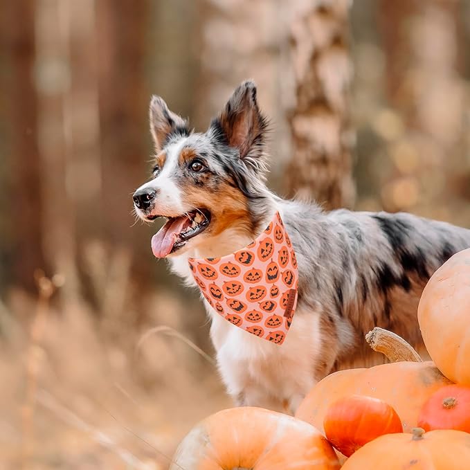 ADOGGYGO Halloween Dog Bandana, Pumpkin Ghost Pet Scarf, Premium Durable Fabric, Adjustable Fit Halloween Bandanas for Medium Large Dogs Pets (Large)