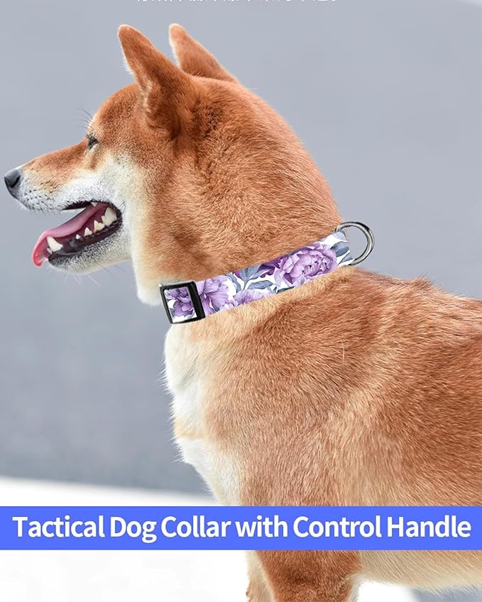 Dog Collar, Cute Dog Collar for Small Medium Large Dogs, Personalized Adjustable Soft Pet Collars with Quick Release Buckle for Walking Running, Cute Purple Floral