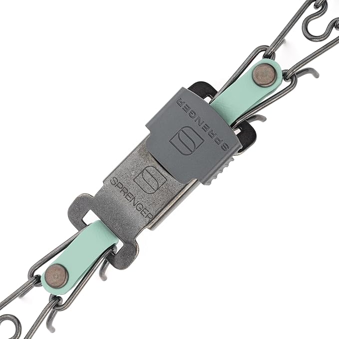 Herm Sprenger Black Stainless Steel Dog Collar with Quick Release ClicLock Buckle and Biothane Insert Training Collar Made in Germany (Sage Green, 16in x 2.25mm(Neck Size up to 13-14in))
