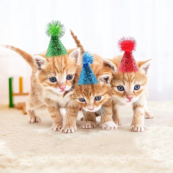 PET SHOW 10pcs Mini Small Dog Hats Cat Birthday Party Hat Rabbit Hats for Holiday Wedding Puppies Kittens Costume Accessories