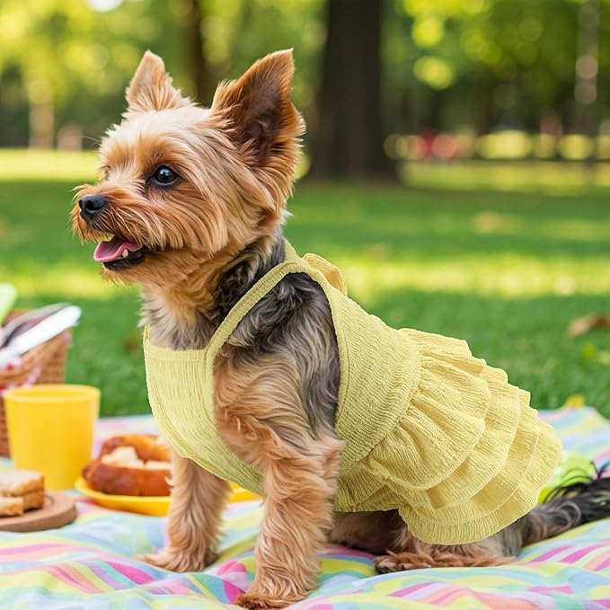 3Pcs Dog Summer Dresses Dog Camisole Dress with Tiered Skirt Pet Tiered Dress Summer Spring Clothes Pullover Vest Skirt for Small Medium Dogs M