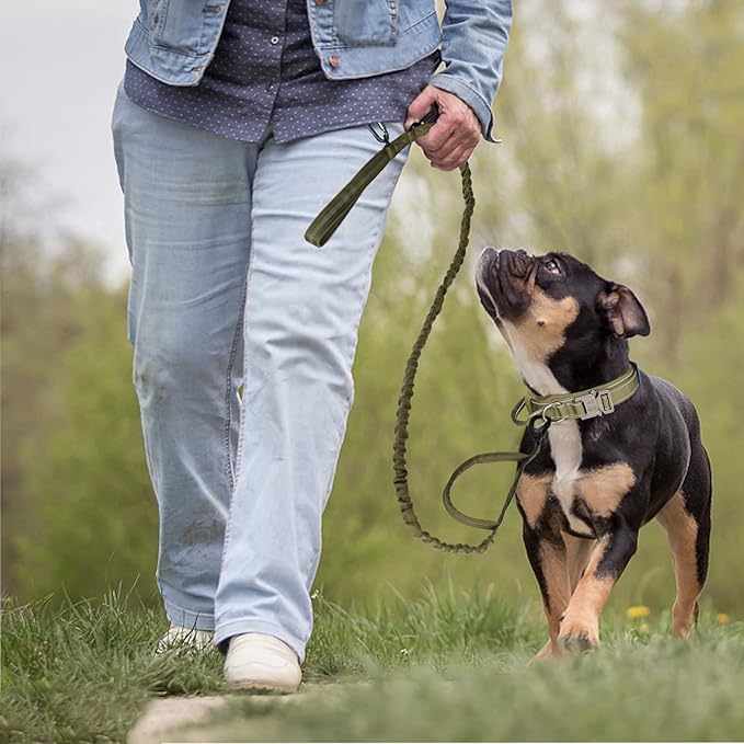KCUCOP Tactical Dog Collar, Heavy Duty Dog Collar with Handle and Metal Buckle, Military Thick Dog Collars for Medium and Large Dogs(Green-Reflective Set-XL, 1 Patch)
