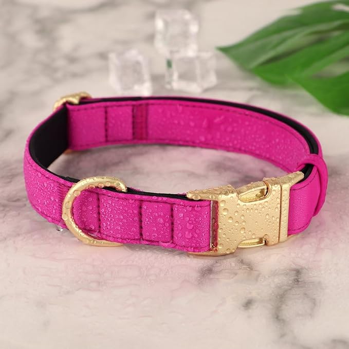 Didog Soft Padded Dog Collars for Small Dogs, Waterproof and Durable Pet Collar with Quick Release Buckle, Light and Breathable for Daily Walking,Rose Purple,S(Neck:10-15")