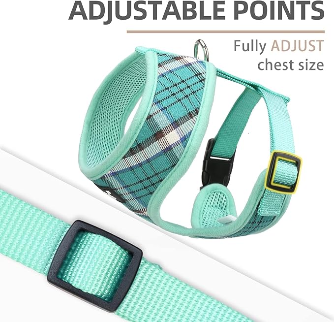PUPTECK Soft Mesh Dog Harness and Leash Set Pet Puppy Cat Comfort Padded Vest No Pull Harnesses, Green, L