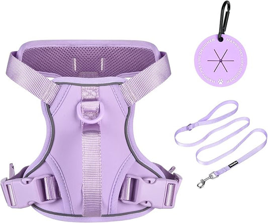 Petmolico Dog Harness for Small Dogs, Cute Harness Vest with Two Leash Clips and Soft Handle, Reflective Easy Walk Puppy Vest - Light Purple, Small