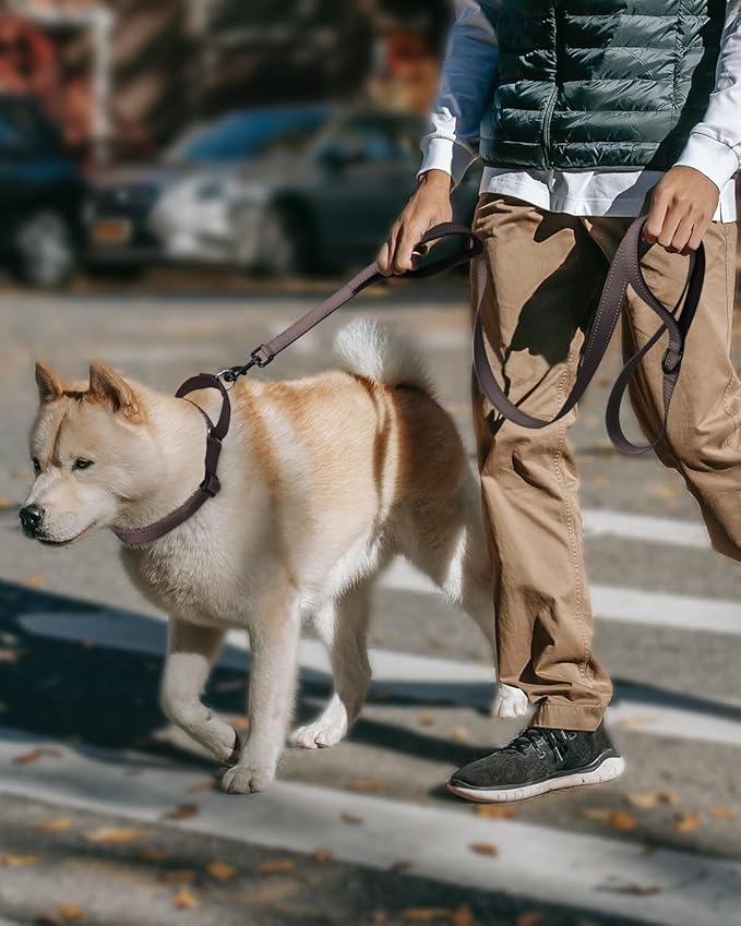 FunTags Reflective Martingale Collar for Dogs, Quick Release Buckle, 5FT Double Handle Dog Leash Padded, Dog Collar and Leash Set, Adjustable for Medium Dogs (Brown, M)
