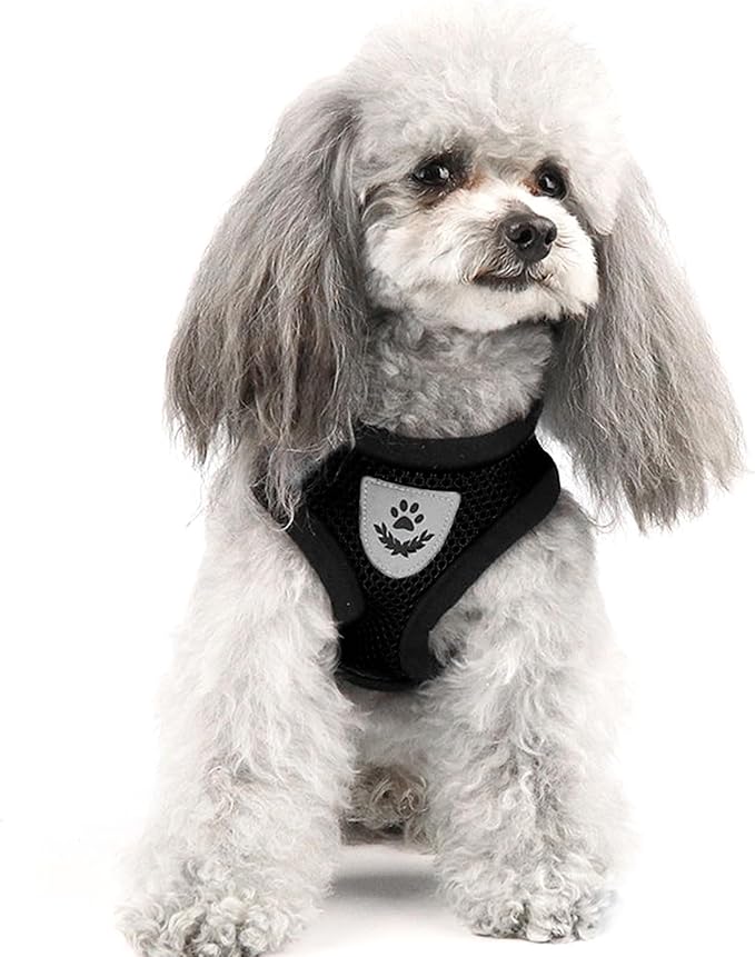 shudyear Dog Walking Chest Harness and Leash, Anti-Escape Adjustable Soft Mesh Dog Leash and Harness Set for Small Dog and Puppies, Vest for Medium Sized Dogs (Black, M)