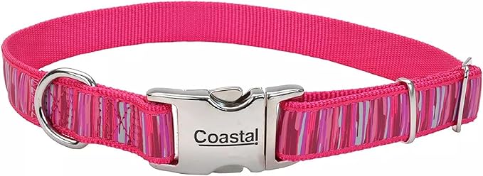 Coastal Pet - Ribbon - Adjustable Dog Collar with Metal Buckle, Pink Flamingo Stripe, 5/8" x 12"-18"