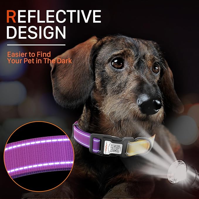 Reflective Dog Collars for Medium Dogs Soft Nylon Purple-Yellow Gradient Sized M
