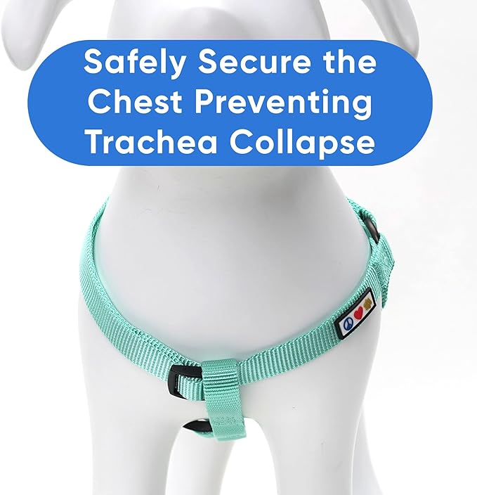 Pawtitas Step-in Dog Harness Solid Color Vest for Training & Walking, Puppy & Small Dog Teal