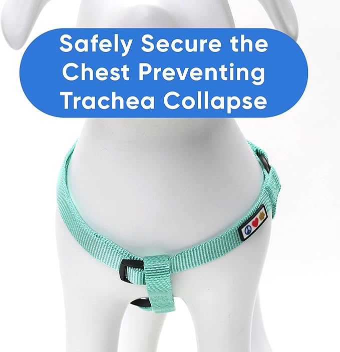 Pawtitas Step-in Dog Harness Solid Color Vest for Training & Walking, Puppy & Extra Small Dog Teal