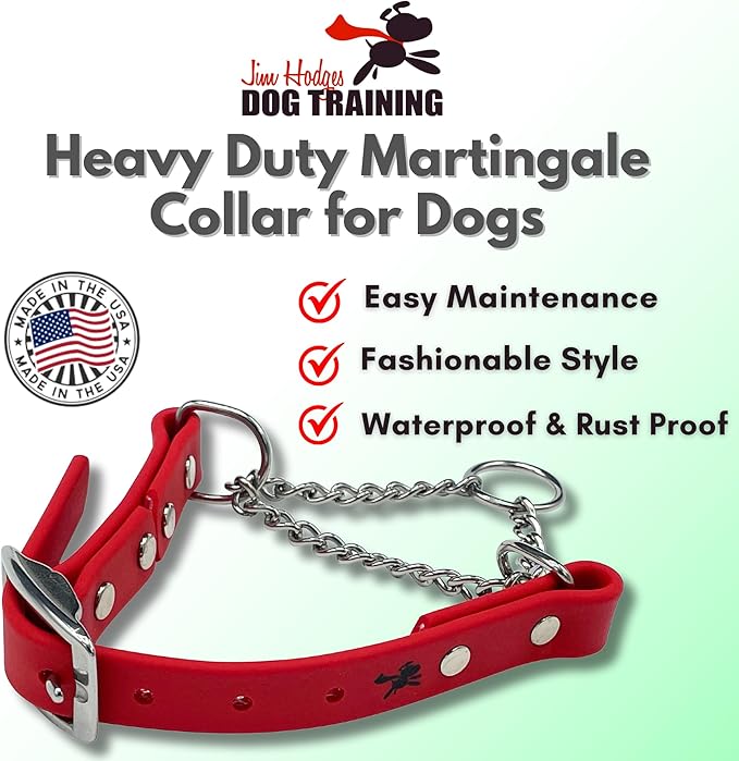 Martingale Collar for Dogs, Biothane, Stainless Steel Hardware, No Pull, Made in The USA, Professional Grade, XL, Red