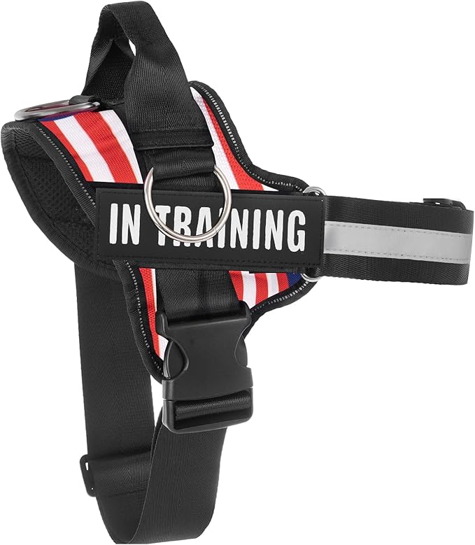 Essential Dog Harness, No Pull Pet Harness with 3 Side Rings for Leash Placement, No Choke, Reflective, Adjustable Pet Vest, Easy On-Off & Improved Control Handle, Training, Walking, Running