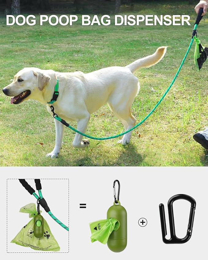 Joytale Reflective Dog Leash, Heavy Duty Nylon Rope with Poop Bag Holder, Highly Reflective Threads Leashes for Medium Large Dogs, Teal, 6'×1/2''