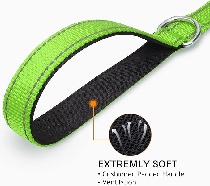 Joytale Double-Sided Reflective Dog Leash, 6 FT/5 FT/4 FT, Padded Handle Nylon Heavy Duty Leashes for Small & Medium Dogs Walking, Green, 5FT