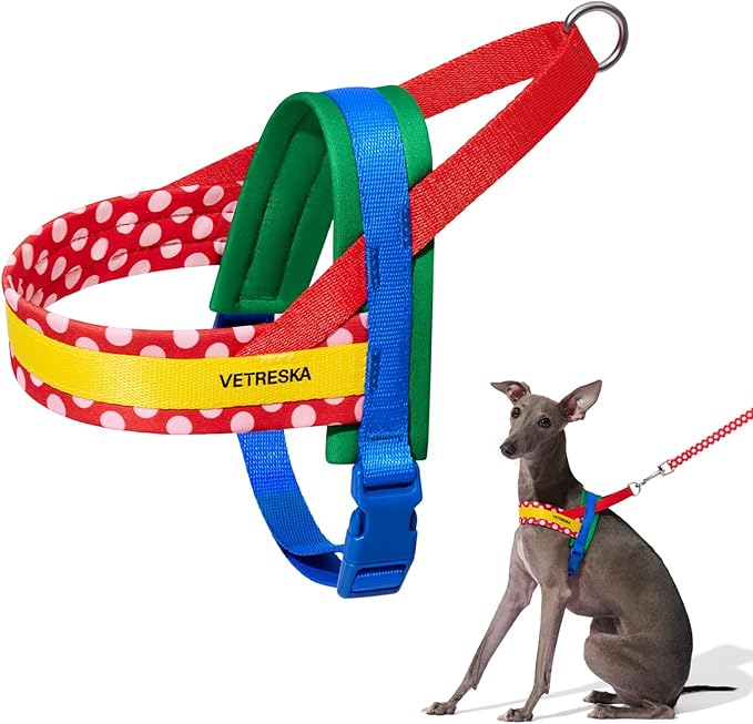 VETRESKA MoMA Dog Harness and Leash Set, Easy Walk Dog Harness for Large Dogs, No Pull Puppy Harness for Walking and Training, Adjustable, Take Control & Anti-Twist Pet Lead Combo(Red, L)